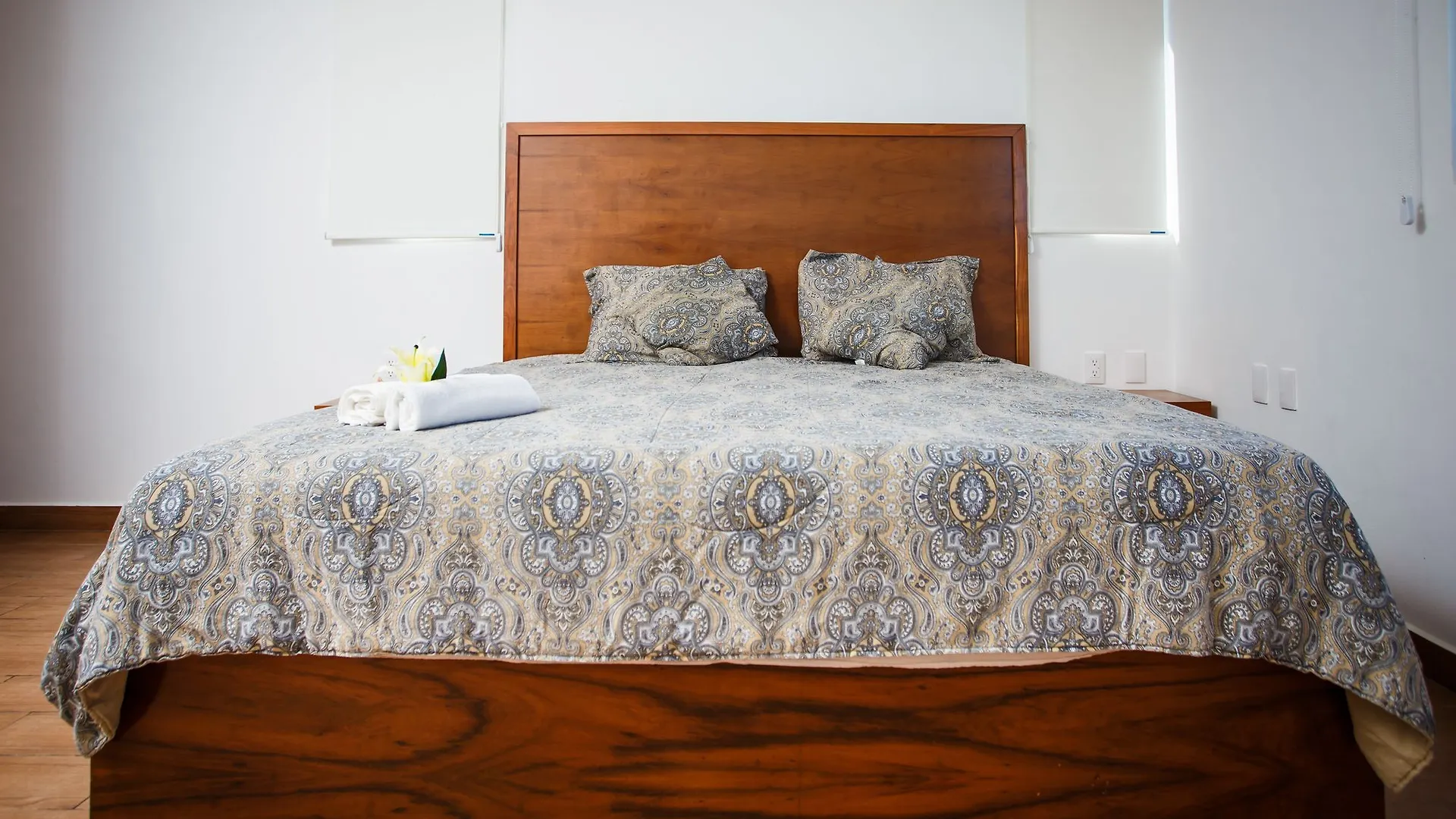 The Hybrid Studio Playa del Carmen Mexiko