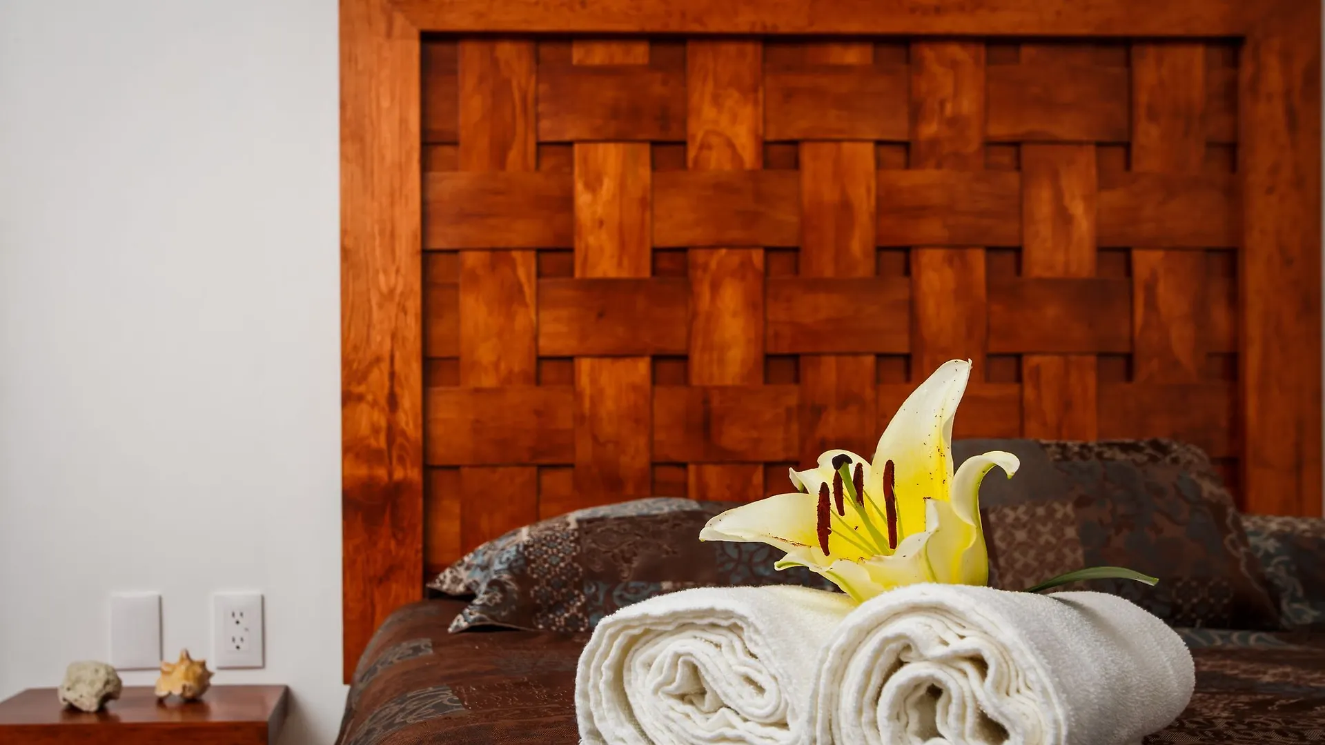 The Hybrid Studio Playa del Carmen 0*,  Meksika