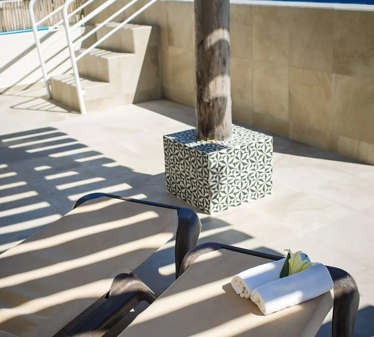 The Hybrid Studio Playa del Carmen