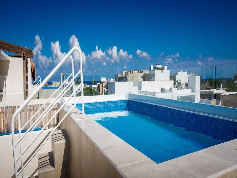 The Hybrid Studio Playa del Carmen