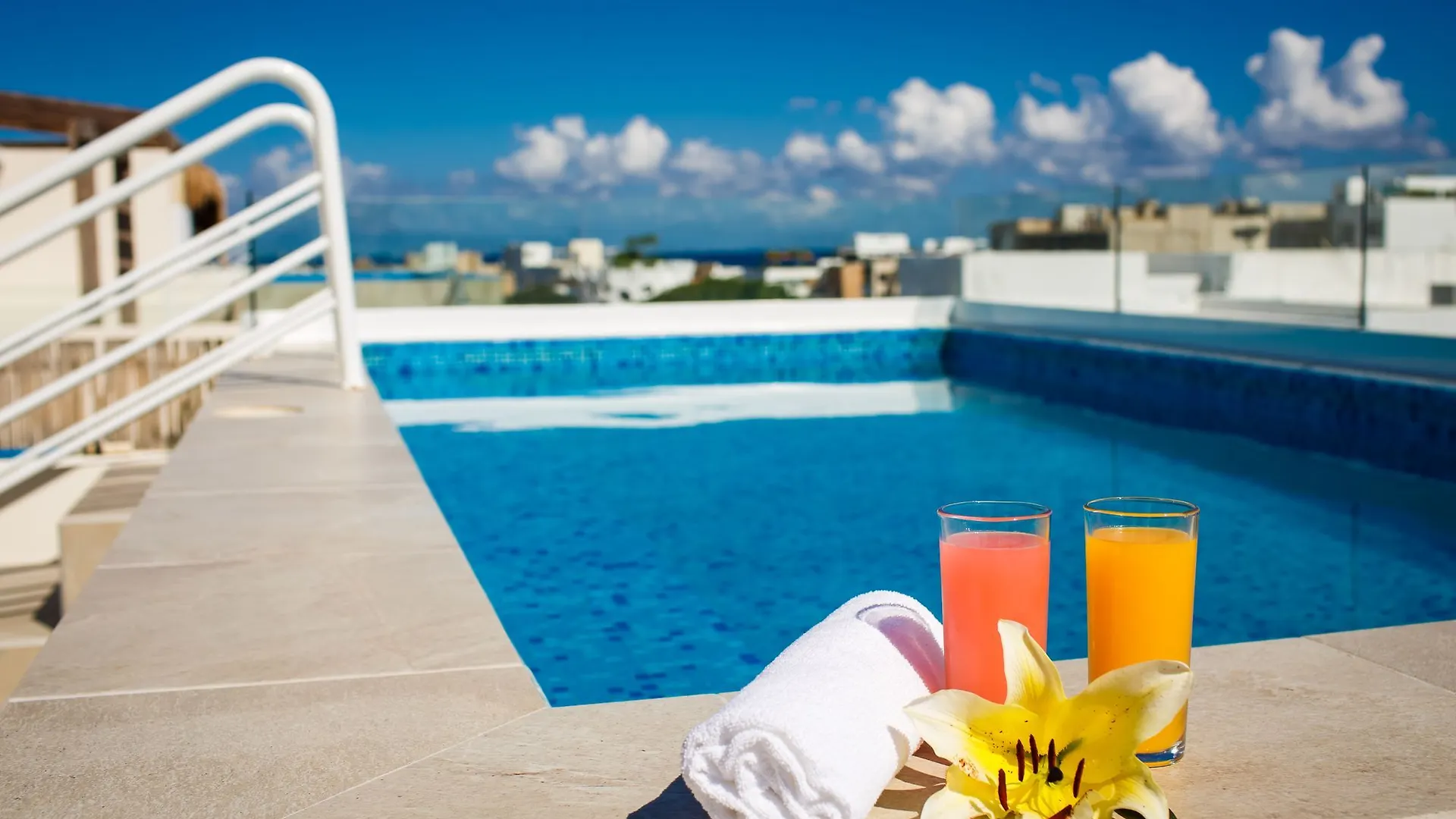 The Hybrid Studio Playa del Carmen