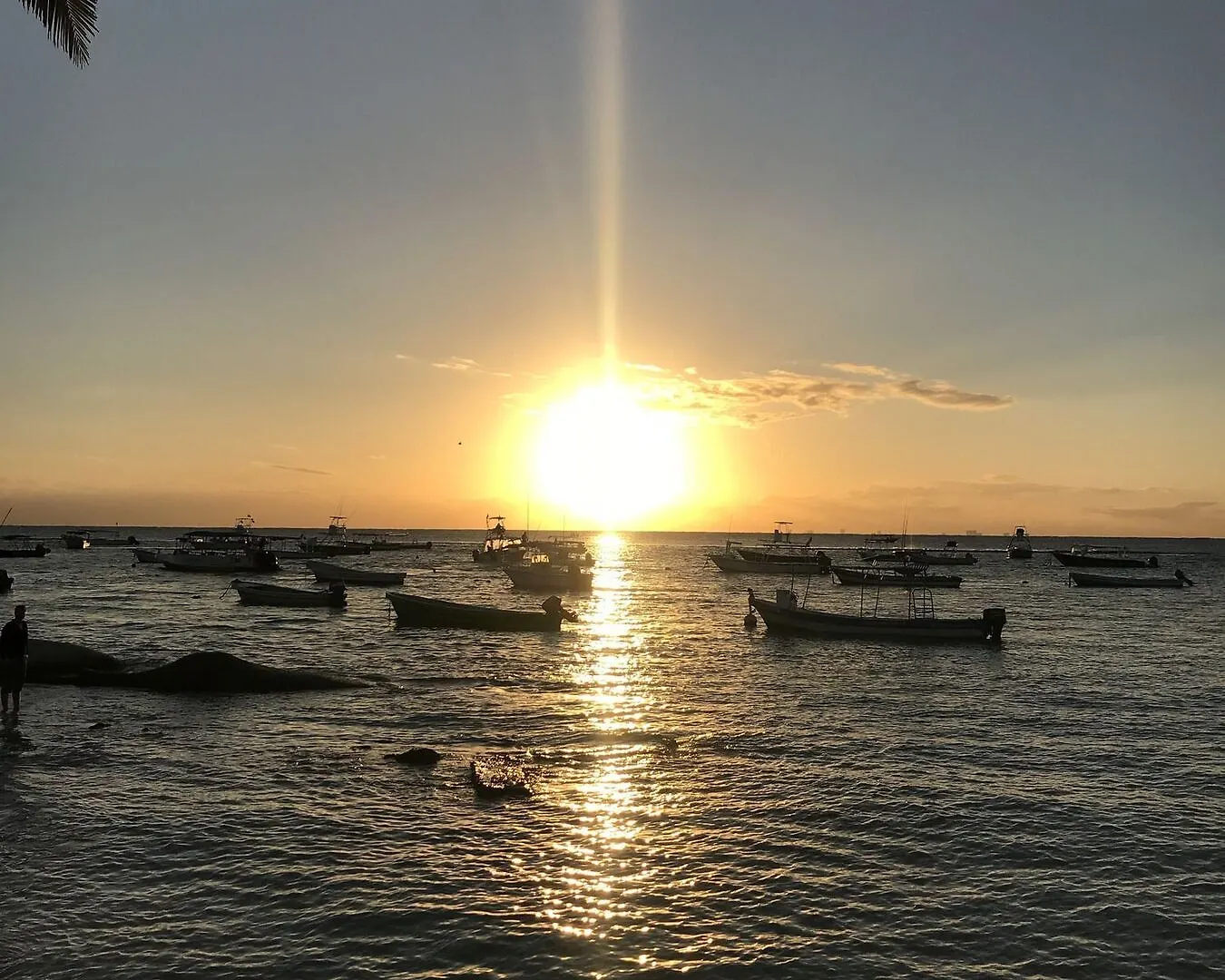 The Hybrid Studio Playa del Carmen Daire