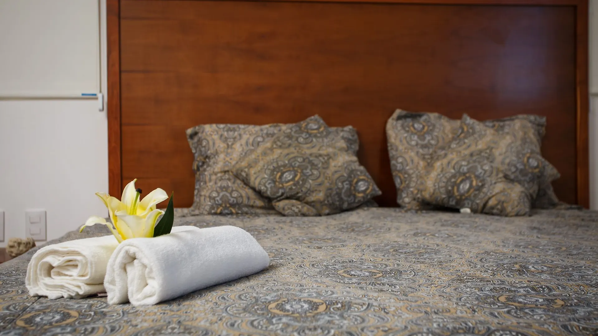 The Hybrid Studio Playa del Carmen Mexiko